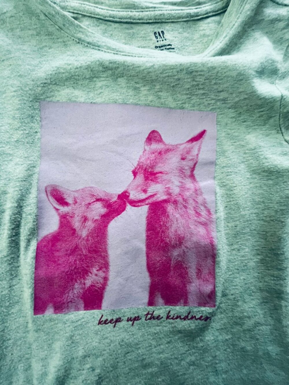 Gap Kids Gray Fox Kindness Shirt